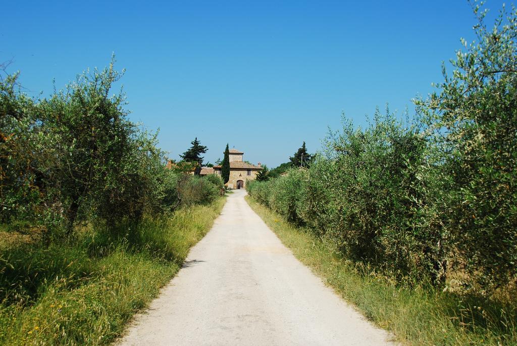 B&B Le Querciole Del Chianti Barberino Val d'Elsa Екстер'єр фото